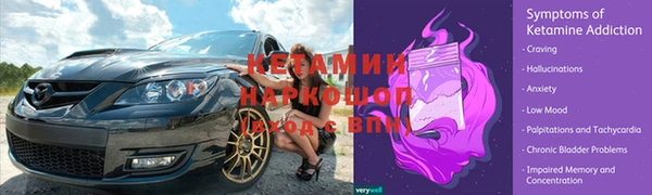 гидра Арсеньев