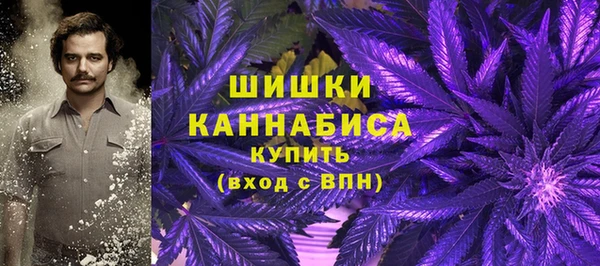 гидра Арсеньев